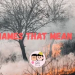 544+ Boy Names That Mean Fire