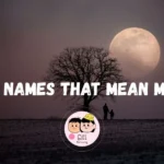 332+ Boy Names That Mean Moon 🌙