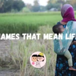 856+ Names That Mean Life