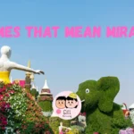 434+ Names That Mean Miracle