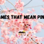 343+ Names That Mean Pink