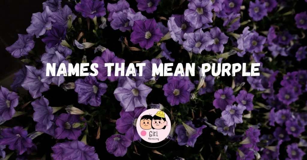 Names That Mean Purple