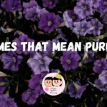 478+ Names That Mean Purple 💜
