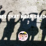 656+ Names That Mean Shadow