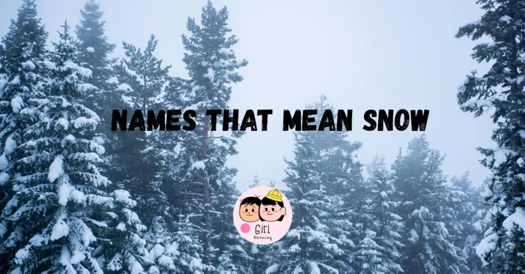 487+ Names That Mean Snow