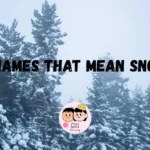 487+ Names That Mean Snow