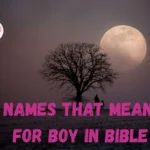 678+ Names That Mean Moon for Boy in Bible