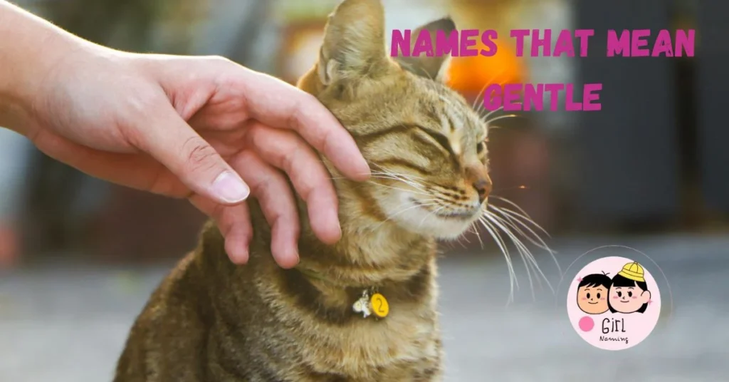 Names That Mean Gentle