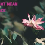 385+ Names That Mean Grace