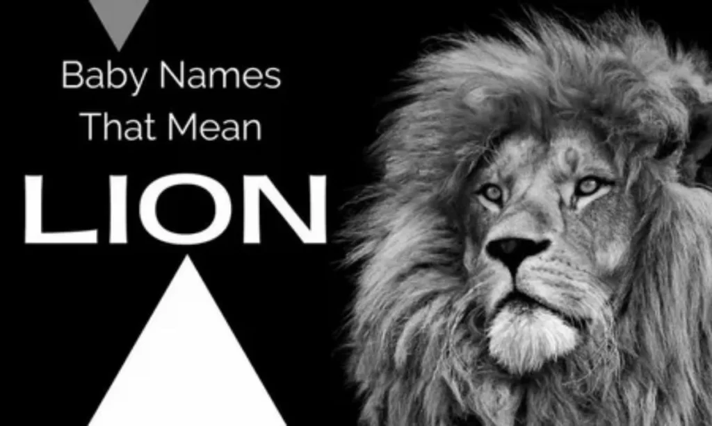 Names That Mean Lion 250 Fierce and Powerful Baby Names