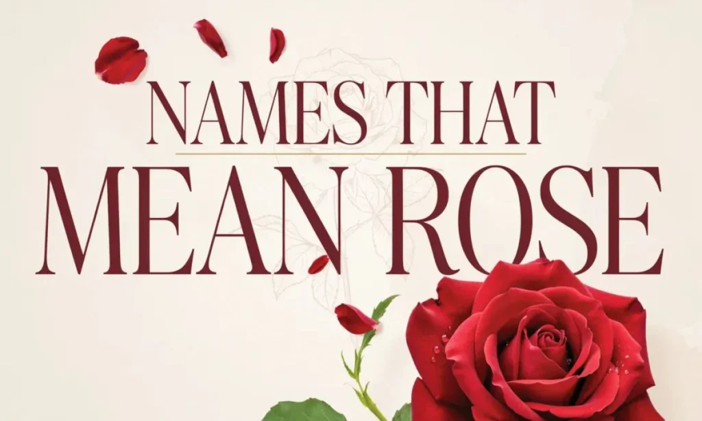 Names That Mean Rose Beautiful Baby Names Inspired by Roses