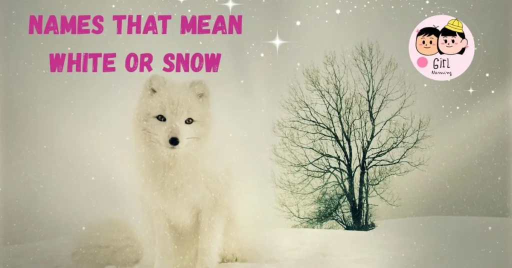 Names That Mean Star White or Snow