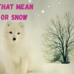 384+ Names That Mean White or Snow ❄️✨