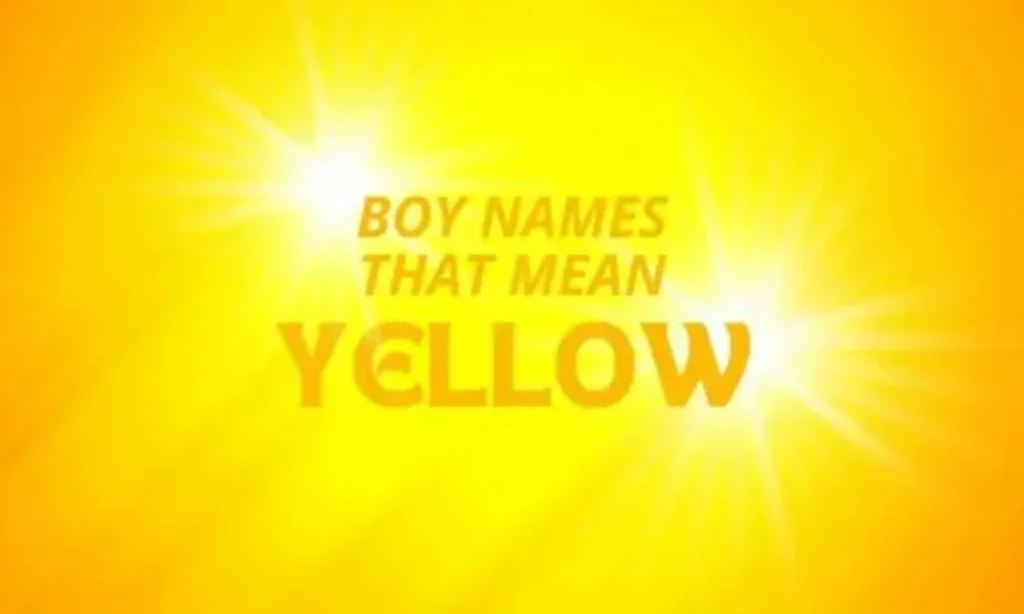 Names That Mean Yellow 250 Bright and Golden Baby Names