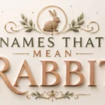 Names That Mean Rabbit : Cute, Lucky & Meaningful Name Ideas