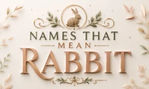 Names That Mean Rabbit Cute, Lucky &amp; Meaningful Name Ideas